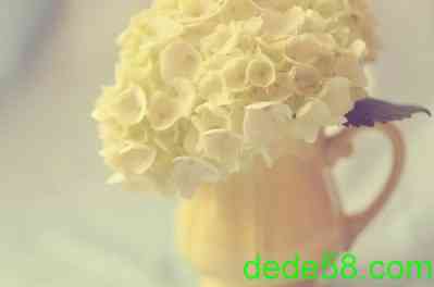 QQ�ռ�˵˵+ͼƬ11