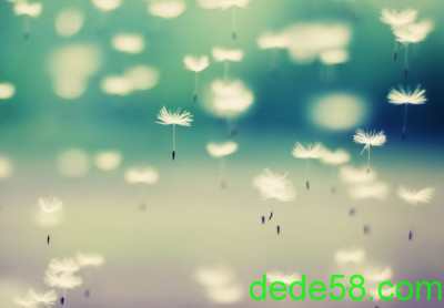 �Ҹ�˵˵��ͼƬ7