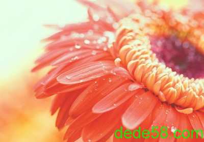 �Ҹ�˵˵��ͼƬ13