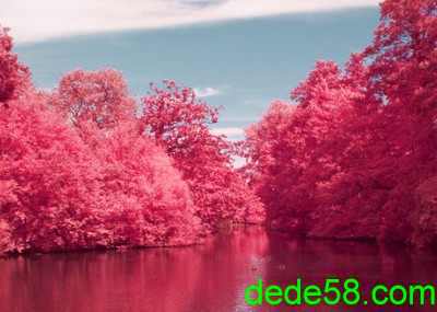 QQ�ռ��ͼ��˵˵12