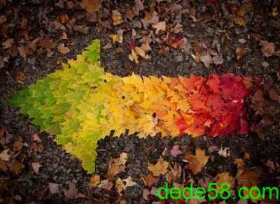 QQ�ռ��ͼ��˵˵15
