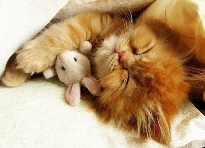 �ռ��˸�˵˵��ͼ3