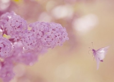 ���⾳��˵˵��ͼƬ9