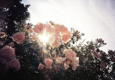 ˵˵ͼƬ��ȫ13