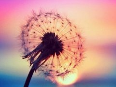 ����˵˵��ͼƬ����һ���ˣ������������˷���룬��