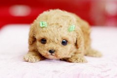 ���е�˵˵��ͼƬ����˭���ҵ���Ƿ��ʲô����������