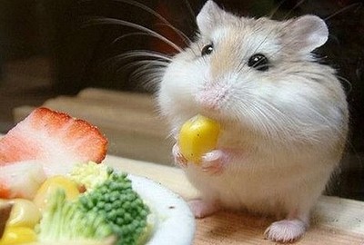 ��Ц˵˵��ͼƬ10