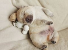 ��Ц˵˵��ͼƬ���μ���һ�Ÿ��Ӵ������������ʱ����һ����ȥ��