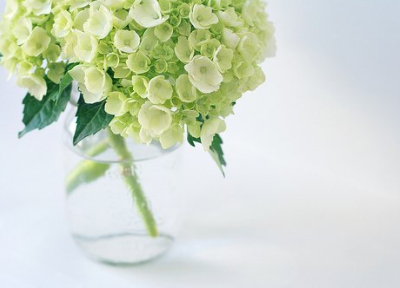 QQ�ռ�ͼƬ˵˵7