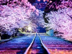 �˸�˵˵��ͼƬ������·������ģ������Ҳ���ͣ����