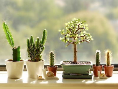 С����˵˵ͼƬ��ȫ6