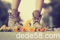�˸о��Ӿ����ʹ���Ҳ��ޣ���������������û����
