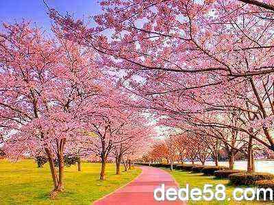 �˸����˵˵�����뿴�㲻���ģ�ȴ�ּ�����ͱ���̫����1