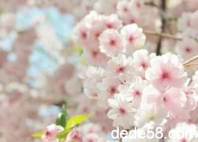 伤感短说说2