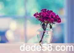 �˸ж�˵˵���Ҷ����������ر���ģ���ȴ����������