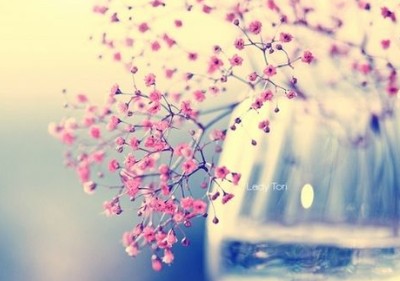 QQ�ռ侫Ʒ�������������ֻ��̫��
