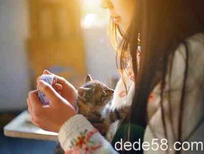 һ�仰�Ŀռ�˵˵������˵û�µ�ʱ��������ٶ����ŵ��� 2