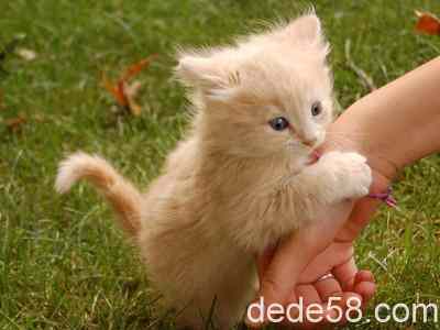 ���ӿռ�������˵˵��һ�����㣬�Ҿ�֪������Ҳϲ�����˱�����