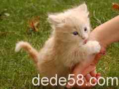 ���ӿռ�������˵˵��һ�����㣬�Ҿ�֪������Ҳϲ��