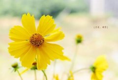 <b>�ۿۿռ�˵˵��̸�����������У�����һ���������</b>