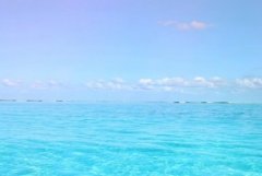 ���е�������������������ж��ܻ��и�����