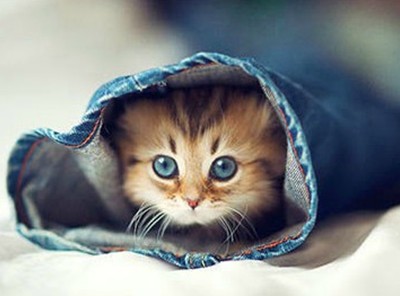 �����ں���˵˵��������ľ���������������ķ羰