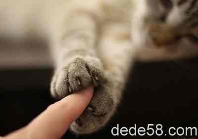 ˵˵�ش�ͼƬ9