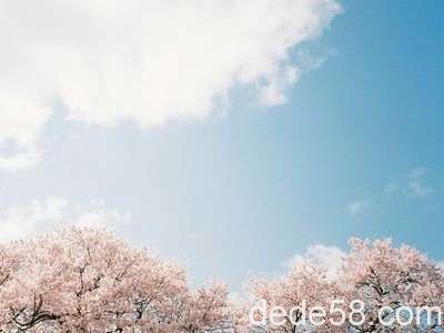 ����˵˵��ͼ8