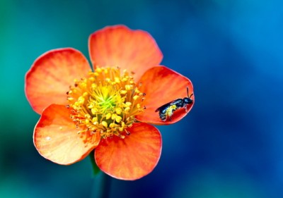 ����������¼������һ���ǣ��������Ϊ������ס��һ���㰮����2