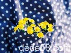 һ�仰������¼����û�ʸ�˵�ұ��ˣ�֪���о仰�а�