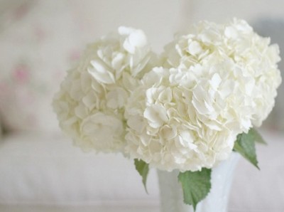 �ܲ�����QQ���飺��ϧ��ӵ�еģ������ò�����