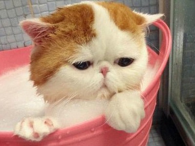 ��Ц˵˵��ͼƬ12