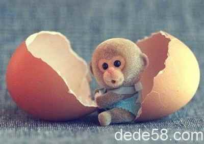 �ռ��Ц˵˵����ô��Ҫ������ôû��û�Σ��������Ӧ�û�����