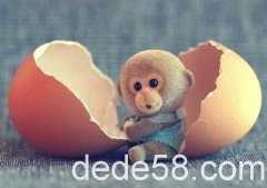 �ռ��Ц˵˵����ô��Ҫ������ôû��û�Σ��������