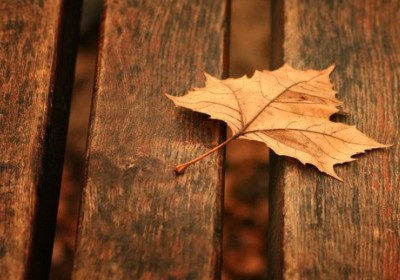�ر���Ȥ��˵˵������������н��ͣ��ñ��˳Դ�ȥ��2