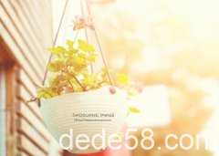 �ܼ���QQ˵˵�����������ֶ�����ſ������һ���Ǳڻ�