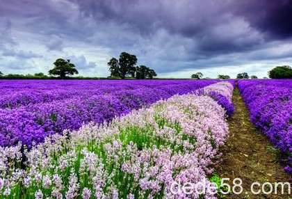 ����˼�ľ��ӣ���������so esay�����ﲻ�ῼ����