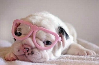 ����Ц˵˵��������ô���ŵ��ˣ�ƽʱ������ʺ�ɣ�