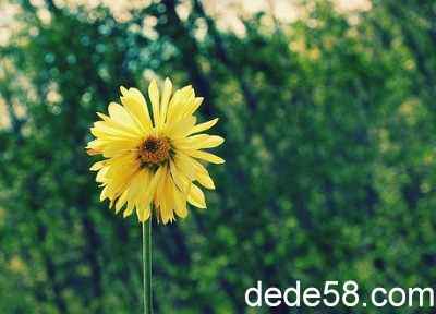 ����˵˵��ͼƬ9