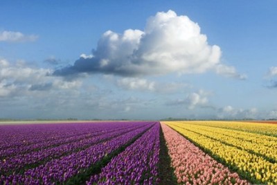 Ů������˵˵2