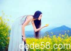 <b>���з���˵˵����������������˵�����ı�����װ����</b>