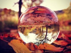 ����˵˵��ȫ�����ֲ����ҵ���ͫ����ƾʲô�������