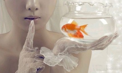 qq����������飺�����ţ�������������