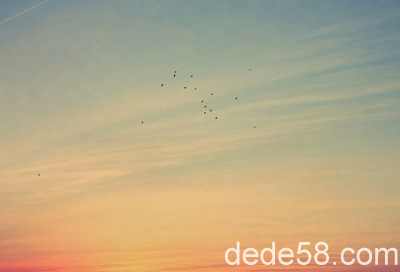 ����˵˵��ȫ����������������������������һ��֮��