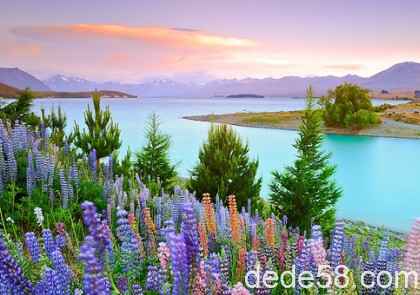 ���ܻ�ӭ��QQ���飺�������ǳ���ʱ������������ʱ