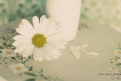 ���¿ռ����˵˵�����������Լ����