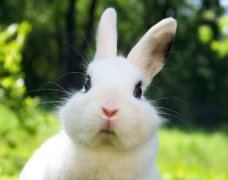������ٵĿռ�˵˵�������ҵ���Ѿ�����̨���ˣ�̨